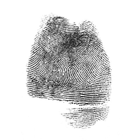 Exposición > La imaxe, lo tapecío Pablo Casanueva